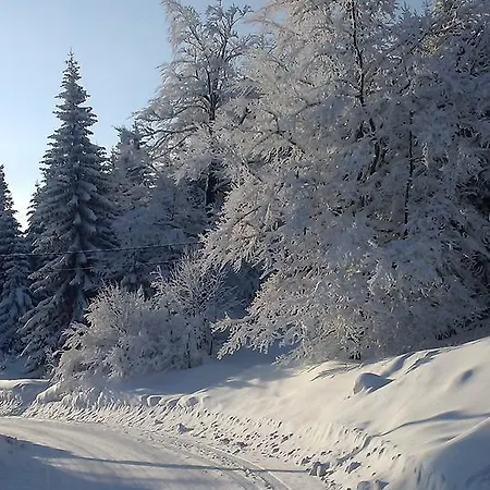 Apartment Marija Jahorina