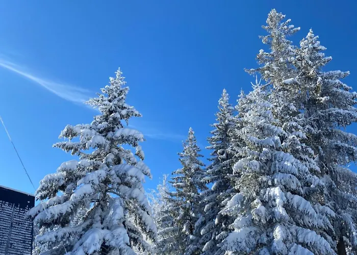 Marija Apartment Jahorina